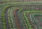 Howes Valleyorganic-gardening-10.jpg; ?>